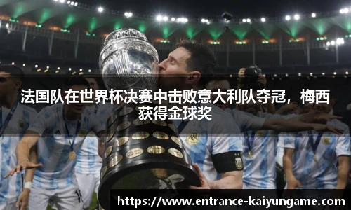 法国队在世界杯决赛中击败意大利队夺冠，梅西获得金球奖